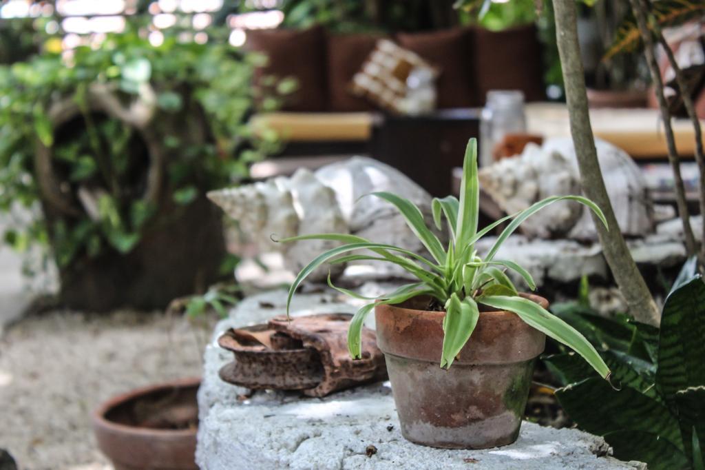 Secret Garden Tulum Hotel Kültér fotó