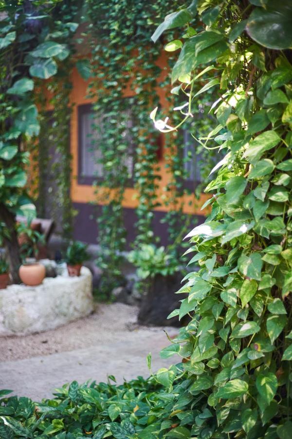 Secret Garden Tulum Hotel Kültér fotó